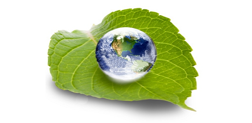 A FCC ENVIRONMENT PORTUGAL S.A. PARCEIROS PELO AMBIENTE