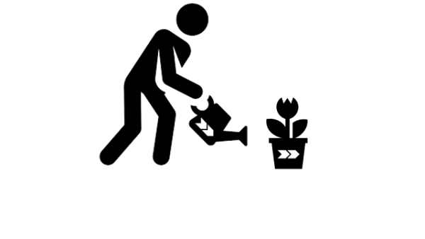 Gestão e Conservação de Zonas Verdes